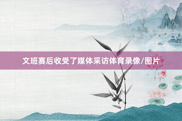 文班赛后收受了媒体采访体育录像/图片
