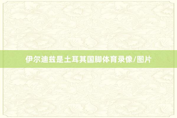 伊尔迪兹是土耳其国脚体育录像/图片