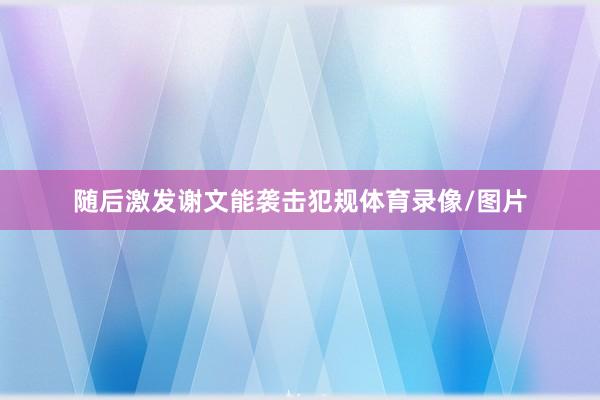 随后激发谢文能袭击犯规体育录像/图片