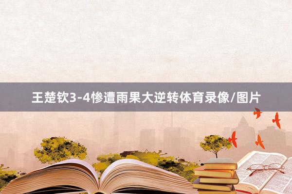 王楚钦3-4惨遭雨果大逆转体育录像/图片