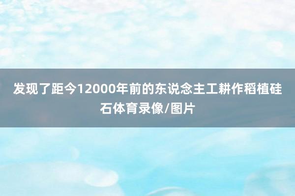 发现了距今12000年前的东说念主工耕作稻植硅石体育录像/图片