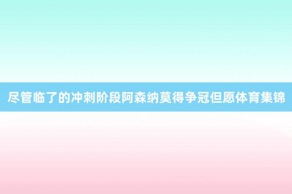 尽管临了的冲刺阶段阿森纳莫得争冠但愿体育集锦