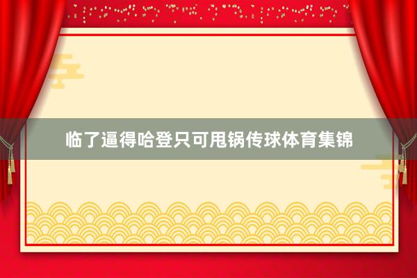 临了逼得哈登只可甩锅传球体育集锦