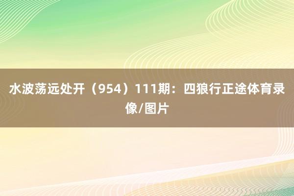水波荡远处开（954）　　111期：四狼行正途体育录像/图片