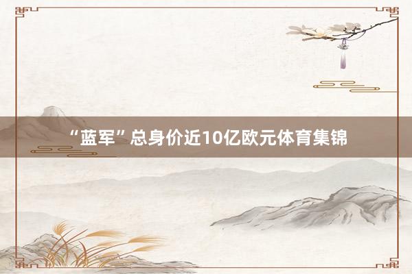“蓝军”总身价近10亿欧元体育集锦