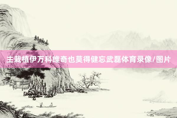 主栽植伊万科维奇也莫得健忘武磊体育录像/图片