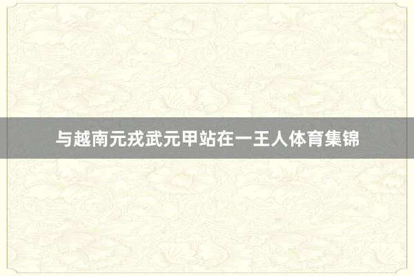 与越南元戎武元甲站在一王人体育集锦