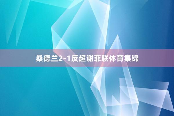 桑德兰2-1反超谢菲联体育集锦