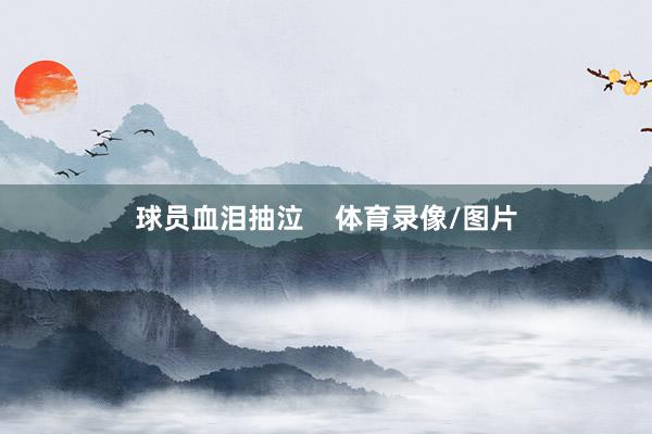 球员血泪抽泣    体育录像/图片
