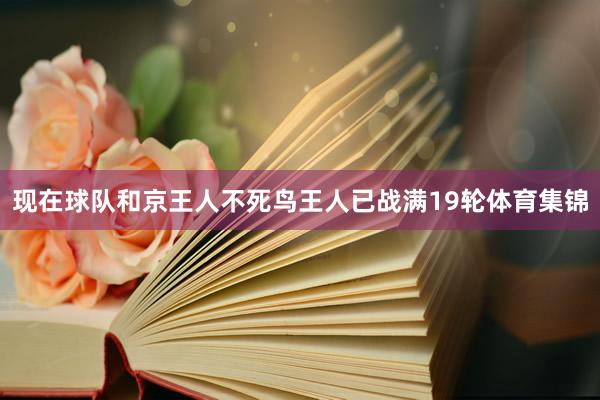 现在球队和京王人不死鸟王人已战满19轮体育集锦