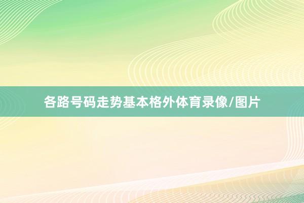 各路号码走势基本格外体育录像/图片