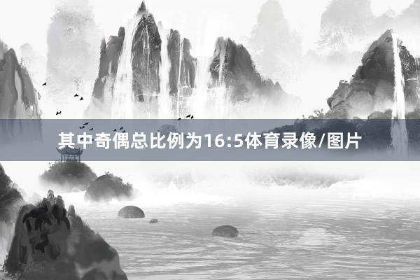 其中奇偶总比例为16:5体育录像/图片