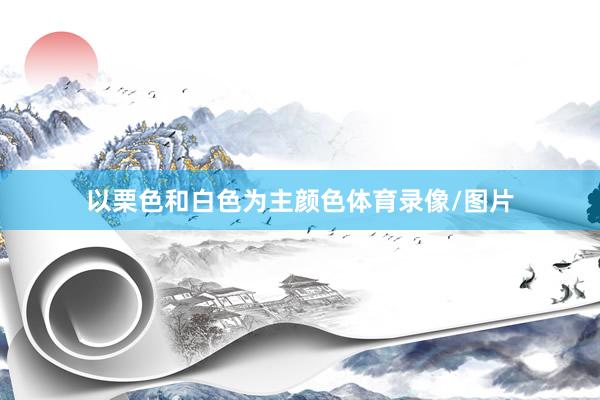 以栗色和白色为主颜色体育录像/图片