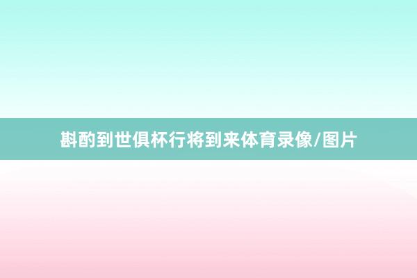 斟酌到世俱杯行将到来体育录像/图片