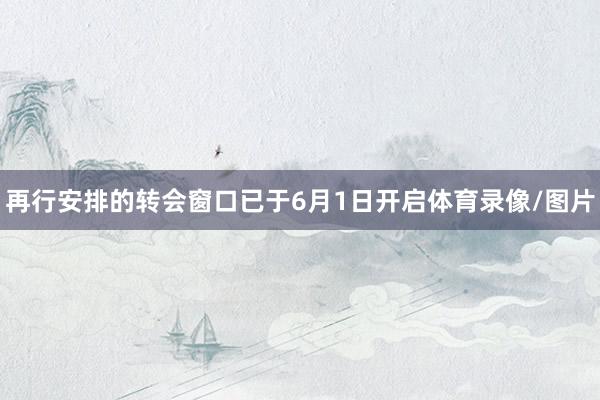 再行安排的转会窗口已于6月1日开启体育录像/图片