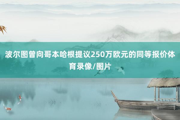 波尔图曾向哥本哈根提议250万欧元的同等报价体育录像/图片