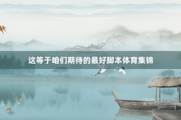 这等于咱们期待的最好脚本体育集锦