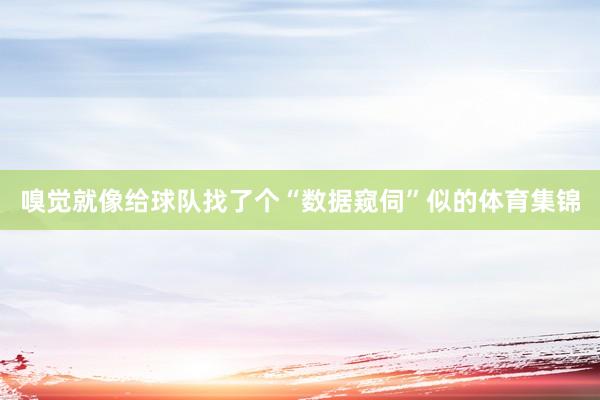 嗅觉就像给球队找了个“数据窥伺”似的体育集锦