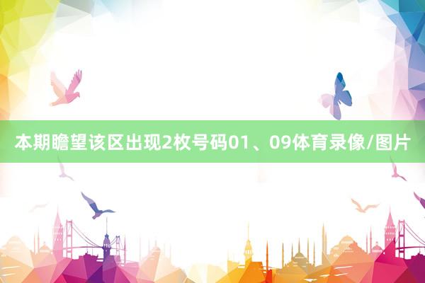 本期瞻望该区出现2枚号码01、09体育录像/图片