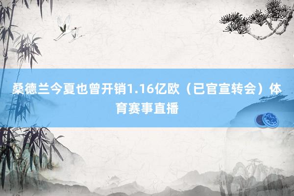 桑德兰今夏也曾开销1.16亿欧（已官宣转会）体育赛事直播