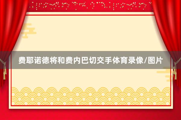 费耶诺德将和费内巴切交手体育录像/图片