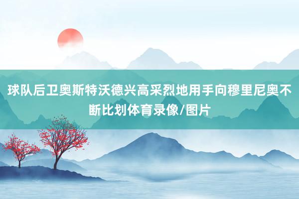球队后卫奥斯特沃德兴高采烈地用手向穆里尼奥不断比划体育录像/图片