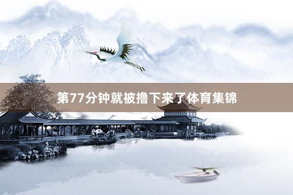 第77分钟就被撸下来了体育集锦