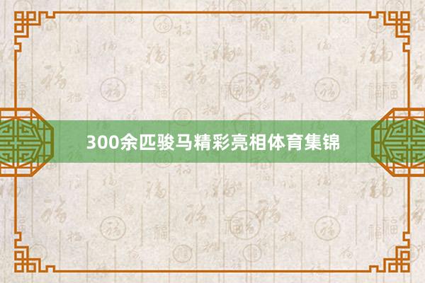 300余匹骏马精彩亮相体育集锦