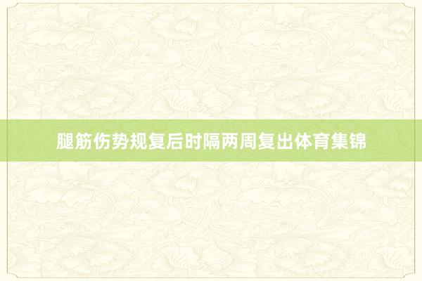 腿筋伤势规复后时隔两周复出体育集锦