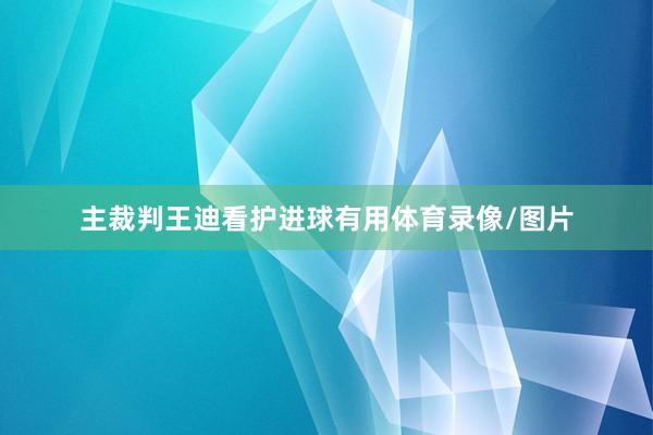 主裁判王迪看护进球有用体育录像/图片