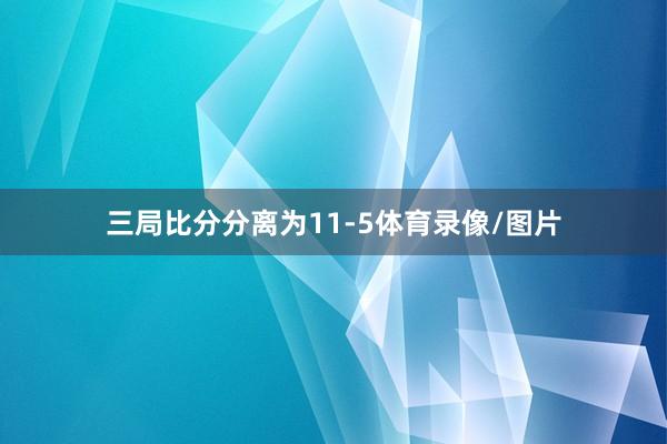 三局比分分离为11-5体育录像/图片