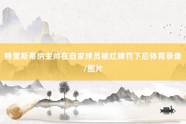 特里斯蒂纳主帅在自家球员被红牌罚下后体育录像/图片