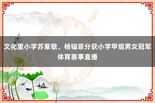 文化里小学苏紫敬、杨镒菲分获小学甲组男女冠军体育赛事直播