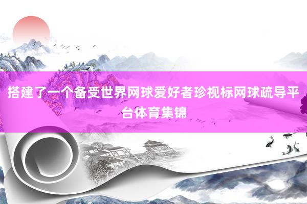 搭建了一个备受世界网球爱好者珍视标网球疏导平台体育集锦