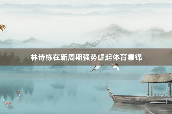 林诗栋在新周期强势崛起体育集锦