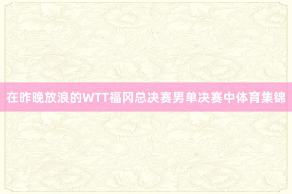 在昨晚放浪的WTT福冈总决赛男单决赛中体育集锦
