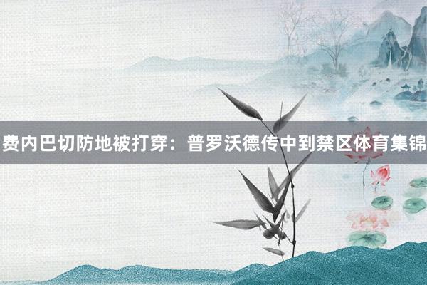 费内巴切防地被打穿：普罗沃德传中到禁区体育集锦