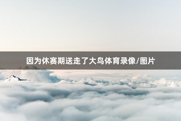 因为休赛期送走了大鸟体育录像/图片