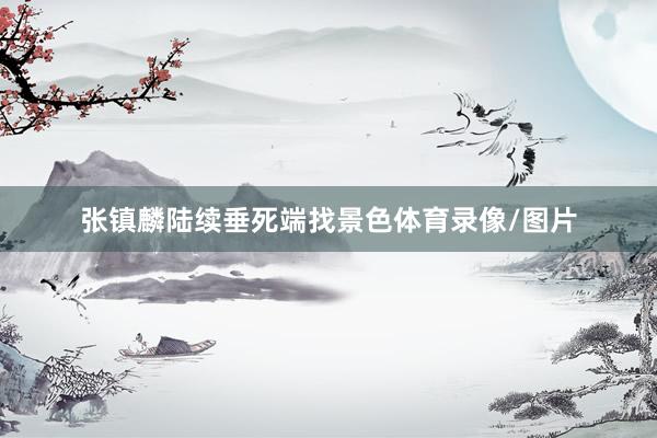 张镇麟陆续垂死端找景色体育录像/图片