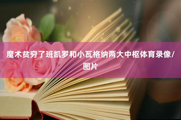 魔术贫穷了班凯罗和小瓦格纳两大中枢体育录像/图片