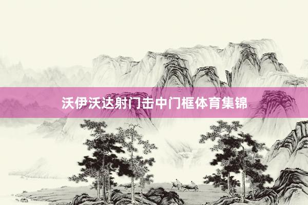 沃伊沃达射门击中门框体育集锦