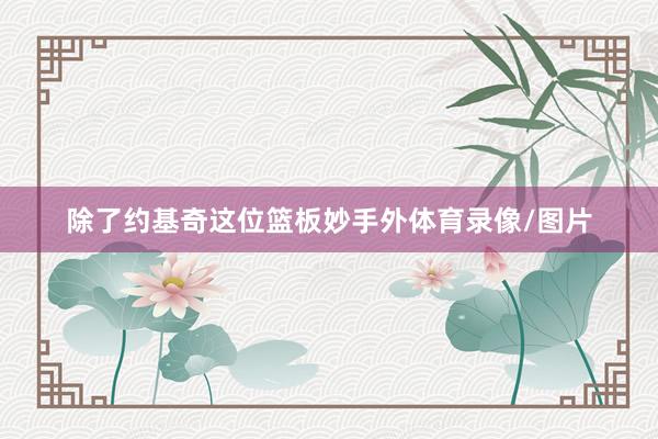 除了约基奇这位篮板妙手外体育录像/图片