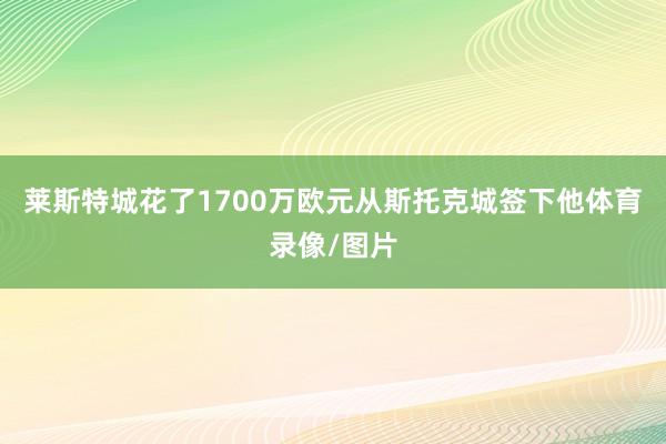 莱斯特城花了1700万欧元从斯托克城签下他体育录像/图片