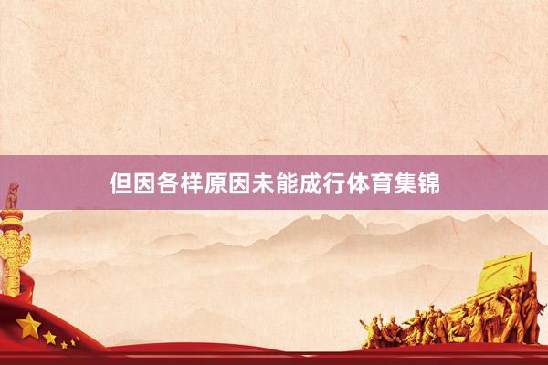但因各样原因未能成行体育集锦