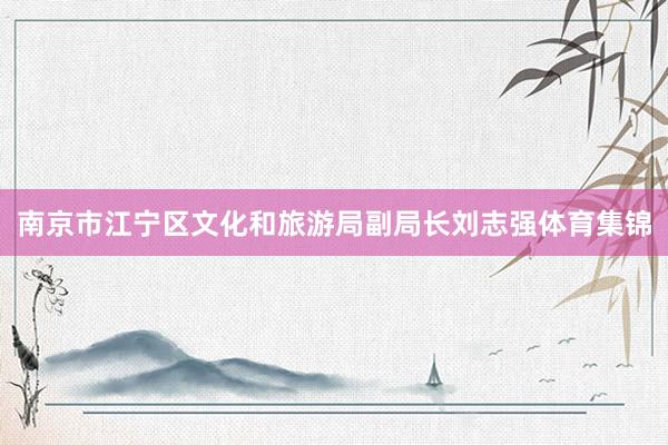 南京市江宁区文化和旅游局副局长刘志强体育集锦