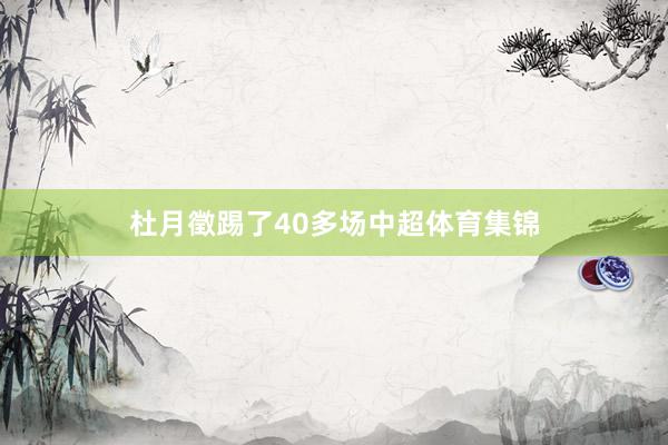 杜月徵踢了40多场中超体育集锦
