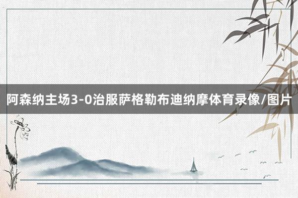 阿森纳主场3-0治服萨格勒布迪纳摩体育录像/图片