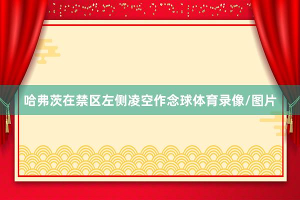 哈弗茨在禁区左侧凌空作念球体育录像/图片