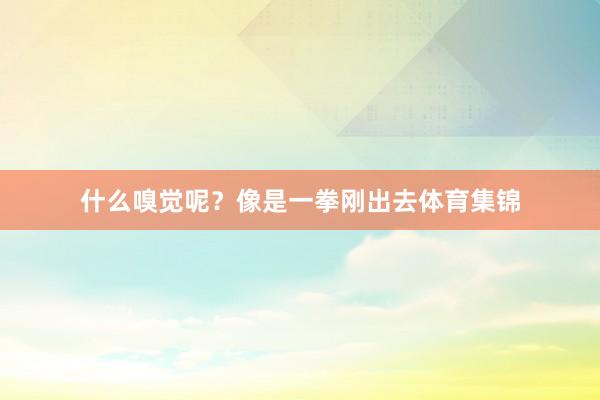 什么嗅觉呢？像是一拳刚出去体育集锦
