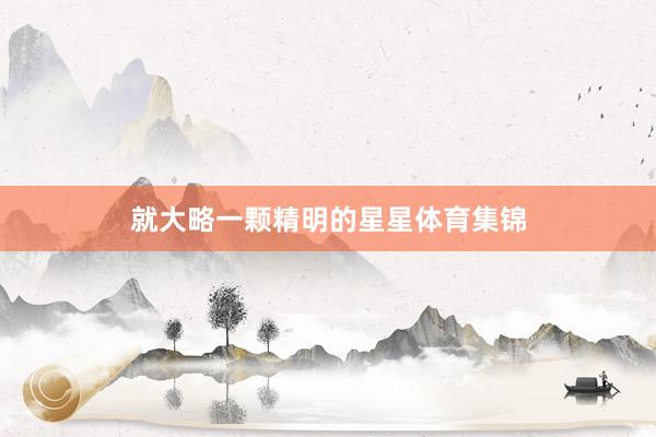 就大略一颗精明的星星体育集锦
